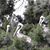 Lynn Hensel Gentry's profile image