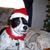 Betty Lavander's profile image