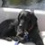 Spenser Casey's profile image