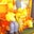 justen f's profile image