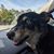 Eric Taylor's profile image