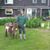 Connie Rohrer Platt's profile image
