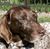 Ann Gramlich's profile image