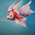Terrie Judson's profile image
