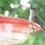 Kathy Yoder's profile image