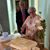 Helen Bates's profile image