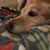Sara Derks's profile image