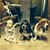 Dallas N Kendra Avery's profile image