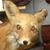 Matt Jeanne Rue's profile image