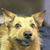 Jeremy Harper's profile image
