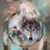 Kimber Hoffman's profile image