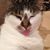 Carri Shehorn's profile image