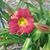 Michele Johnson Derr's profile image