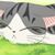 Yun Peng's profile image