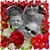 Phyllis Ezzell's profile image