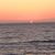 Donna Dellanno Long's profile image