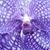 Lucy Redmond-Hall's profile image