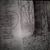 Missy Toler's profile image