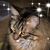 Gayle Clodfelter's profile image