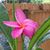 Jennifer Janutolo Kromer's profile image