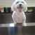 Walt Delaney's profile image
