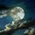 Joye Hoff's profile image