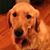 Kenneth Batterson's profile image