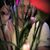 Dane Ray's profile image