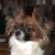 Beth Anne Piper's profile image