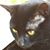 Jo Anne Katherman Supplee's profile image