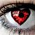 Debbie Steele's profile image