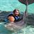 Judy Toal's profile image