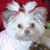 Cheryl Stubbert's profile image