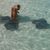 Lyndsie Albury's profile image