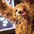 Sloth RockCity's profile image