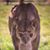 Maegan Nicole Grimes's profile image