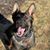 Cindy Collins Vanderbeck's profile image