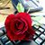 Natalia O Garcia's profile image