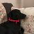Debra S. Zarcone's profile image