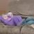 Alvin Rhoda Jr's profile image