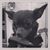Lynne Ann's profile image