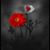 Kathryn Reed's profile image