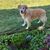 Debbie Dunn Pappas's profile image