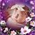 Darla Kerridge Karwat's profile image