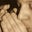 dave mahorney's profile image