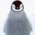 Sherin Vegas's profile image