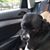 Paula Dunkman's profile image