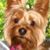 Lou Ann Kemna Ward's profile image