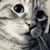 Sarah Hickman's profile image