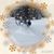 Shannon Cutrer-Shortridge's profile image
